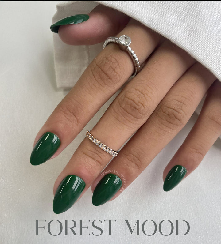 Forest Mood