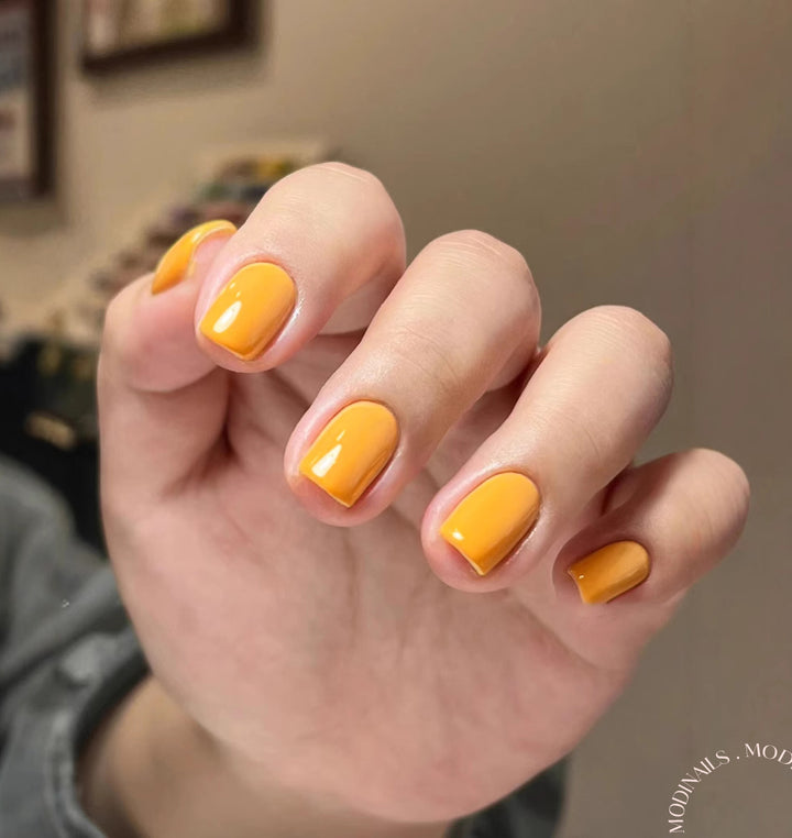 Sunny Pop